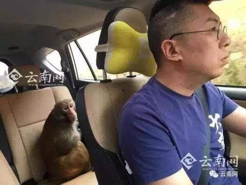 国产大香蕉3p视频在线,揭秘激情四溢的视觉盛宴