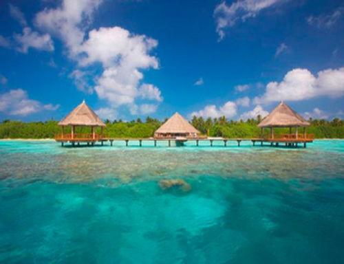 天堂度假173国产在线,173国产在线的梦幻之旅揭秘